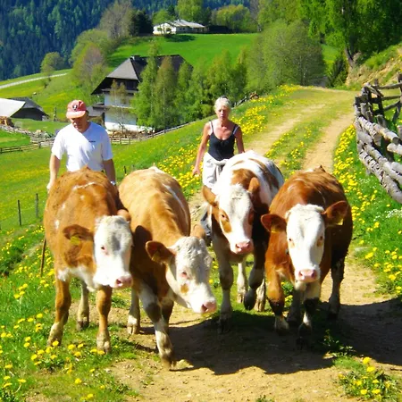 Bischof Gasthof 3*