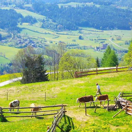 Gaestehaus Bischof 3* Schöder