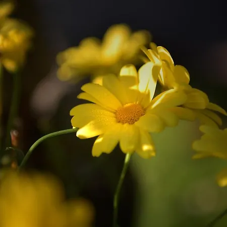 Gaestehaus Bischof 3* Schöder