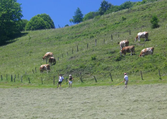 Gastehaus Bischof Guest house