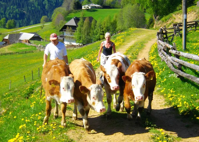 Gastehaus Bischof Guest house 3*