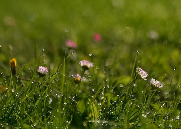 Gaestehaus Bischof Penzion 3*