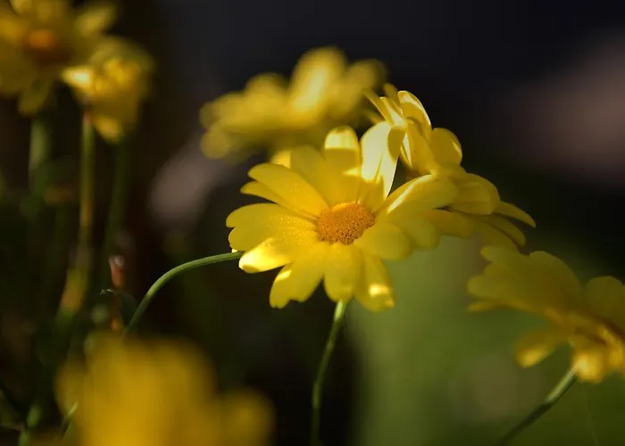 Gaestehaus Bischof 3* Schöder