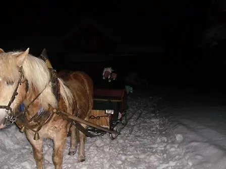 Guest house Gastehaus Bischof